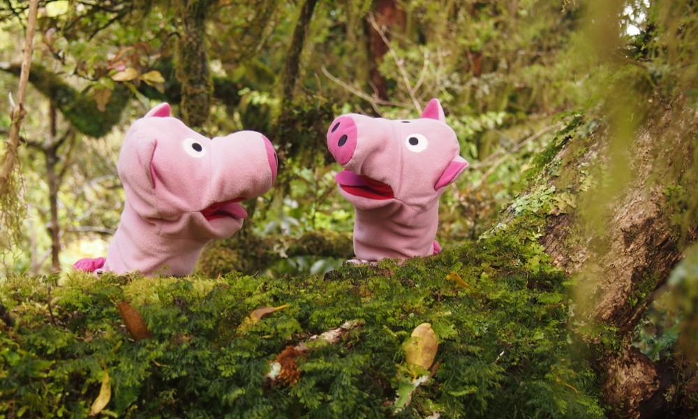 Die Schweine stellen fest, dass hier sehr viele Moose wachsen.