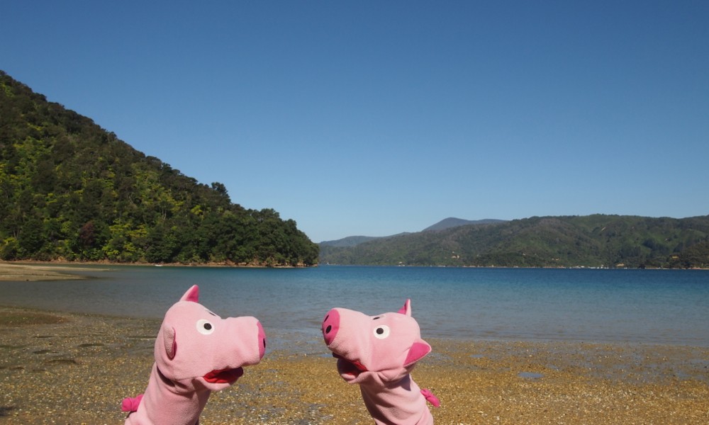 Heute gibt es Muscheln.