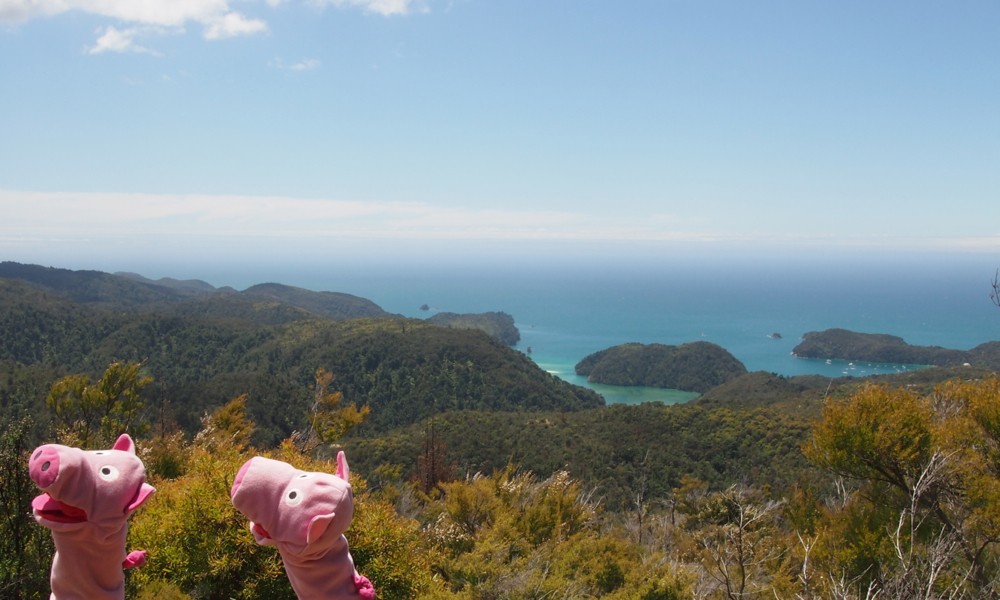 Weihnachten am Meer: die Schweine singen "Oh du Fröhliche".