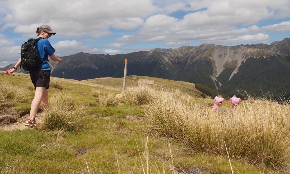 ... freundlichen Wanderinnen auf.