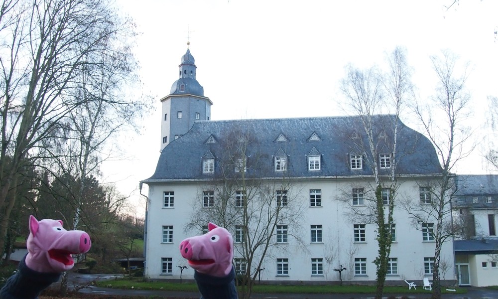 Die Schweine am Kloster Walberberg. Ein Schwein erklärt, dass hier bald eine Fastenwoche stattfindet.