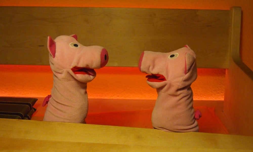 An Weihnachten gab es reichlich Kartoffeln, und daher hat jedes Schwein jetzt eine ordentliche Wampe.