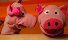 Die Schweine betrachten ihre neuen Ohrringe ...