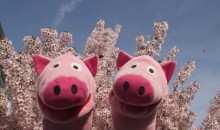Rosa Baum mit rosa Schweinen.