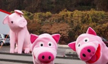 Es wurde auch Zeit, dass den Schweinen mal ein Denkmal gesetzt wird.