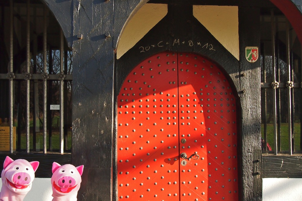 Endlich: die Schweine freuen sich auf's Gebet in der Rochuskapelle.