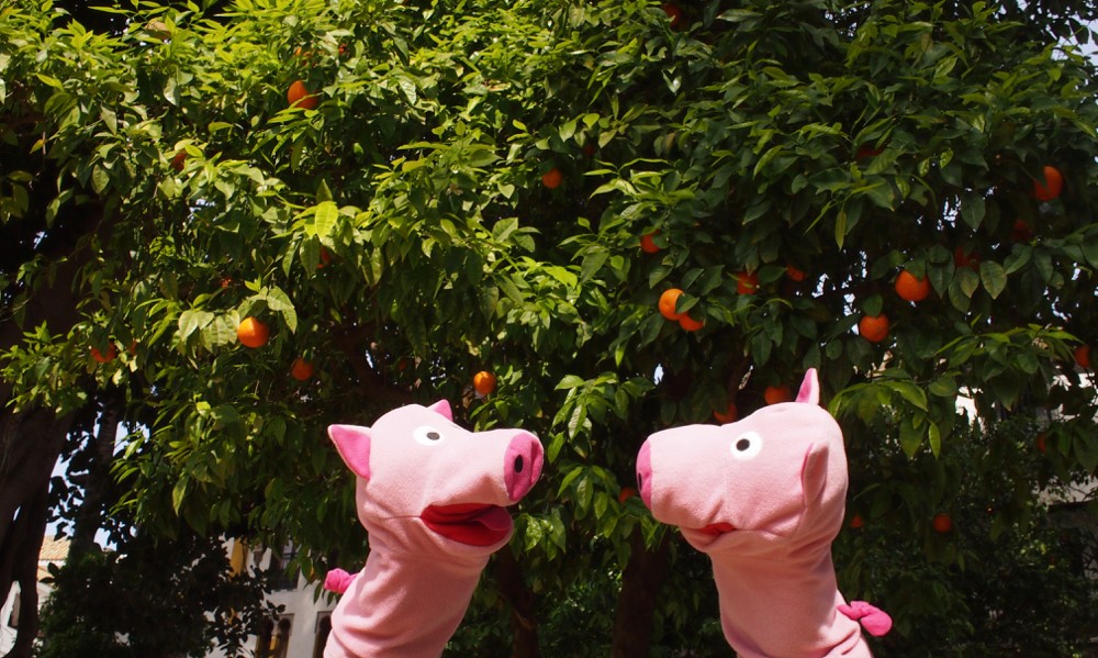 In Sevilla hängen Orangen an den Bäumen. Die Schweine hatten eher mit Patatas gerechnet. 