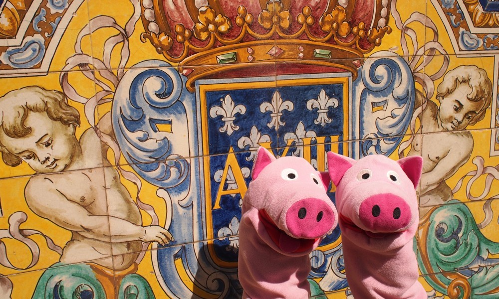 Die Schweine posieren für ein letztes Bild im Sonnenschwein.
