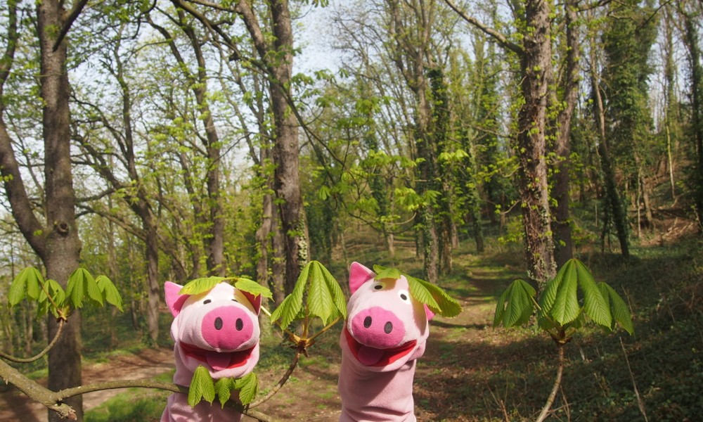 Die Schweine haben sich Hüte gemacht.