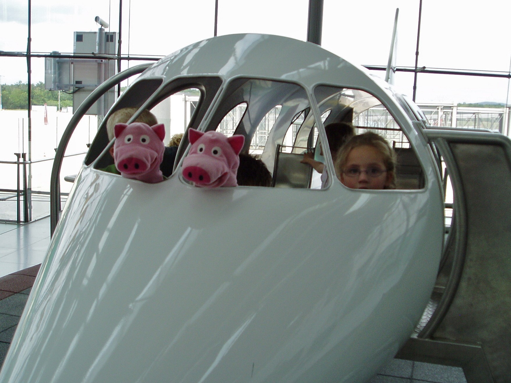 Die Schweine steuern selbst. Zum Glück nur ein Spielflugzeug.