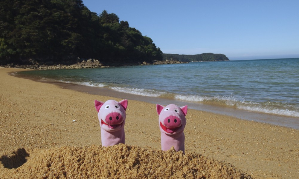 Die Schweine haben sich eine Sandburg gebaut.