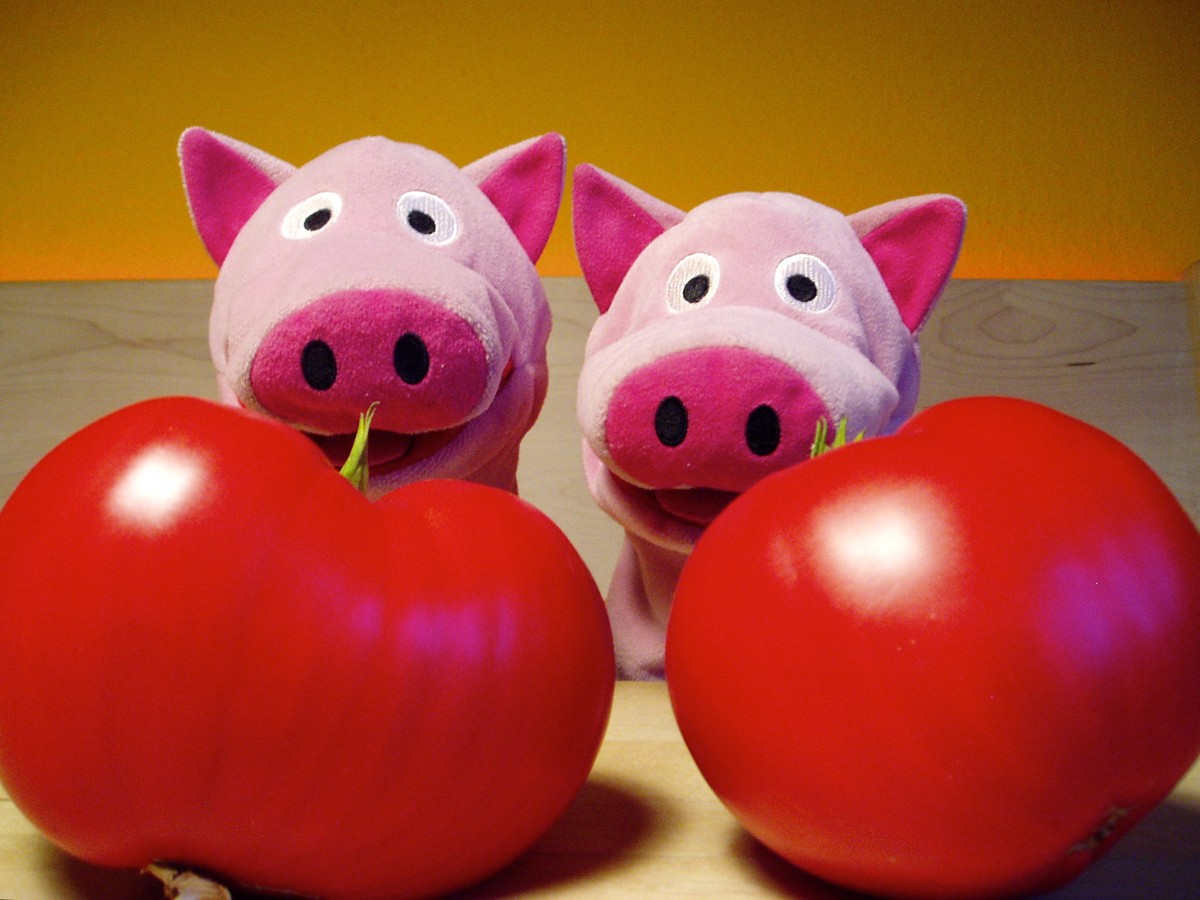 Das sind cœur de bœuf oder Ochsenherz-Tomaten. Hmmm ...