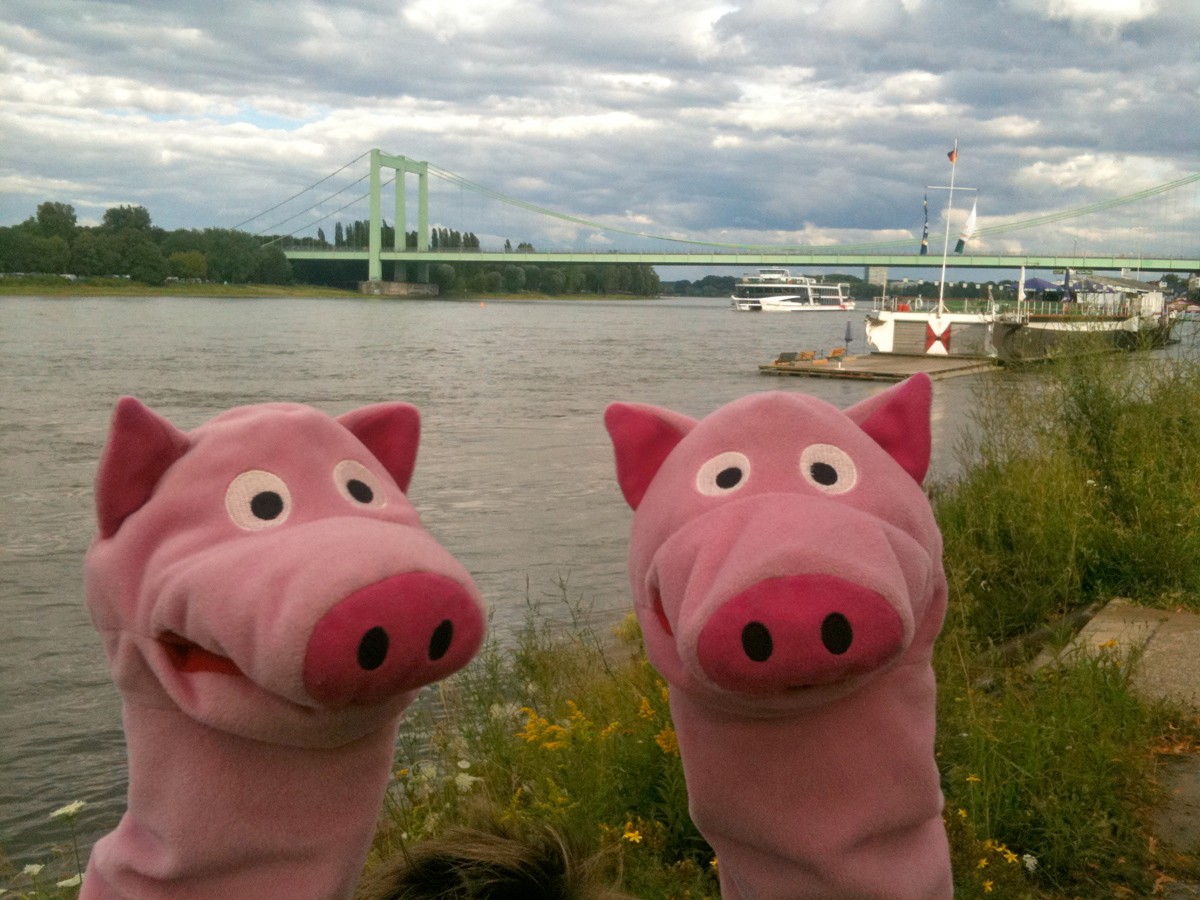 Die Schweine an der Rodenkirchener Brücke