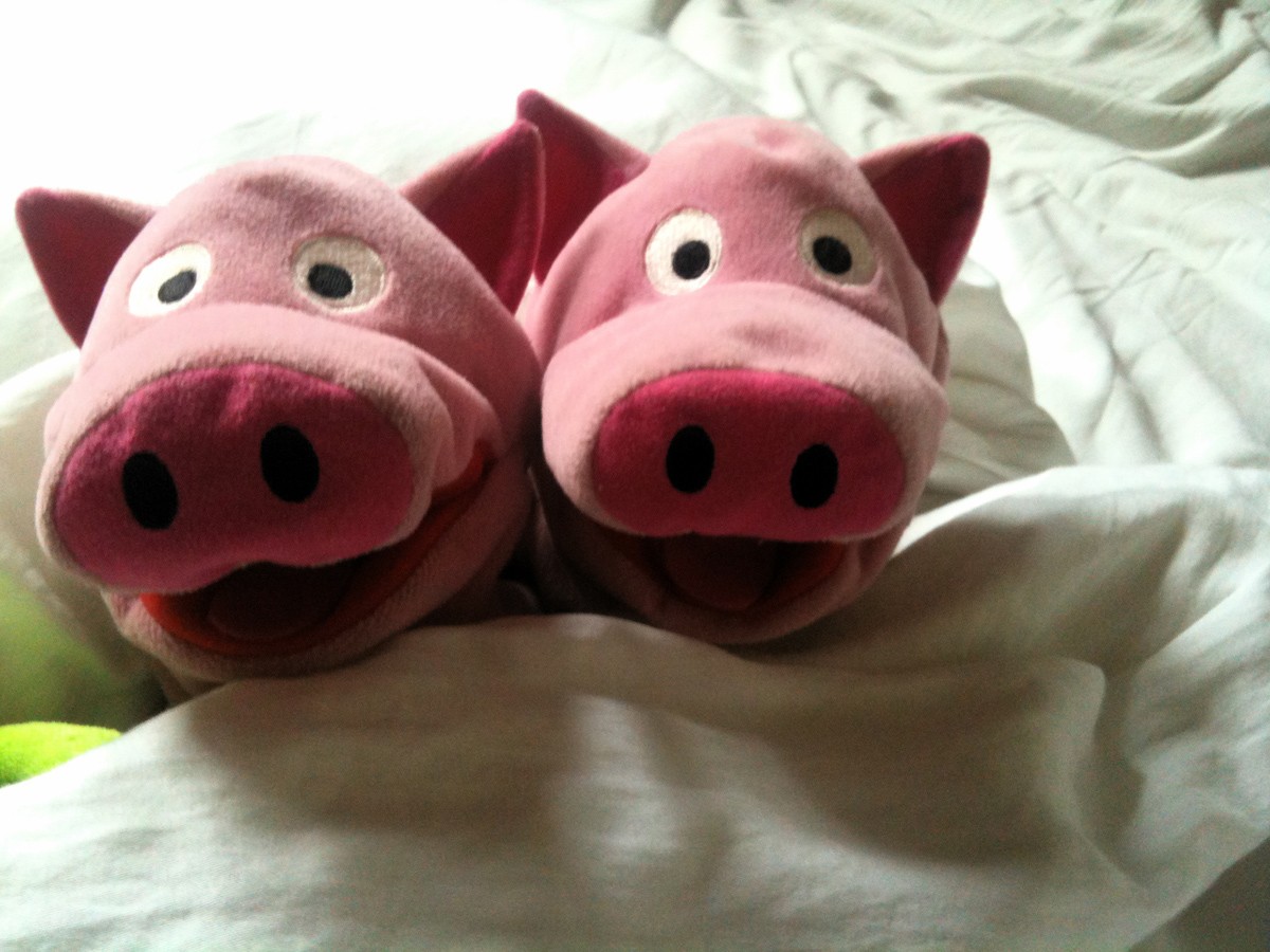 Na? Ausgeschafen? Die Sonne scheint, wir gehen spazieren!