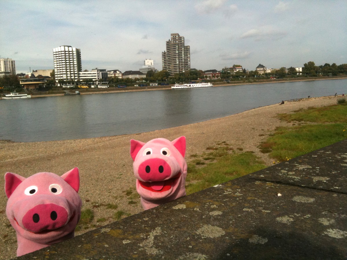 Zufriedene Gesichter mit Rheinpanorama.