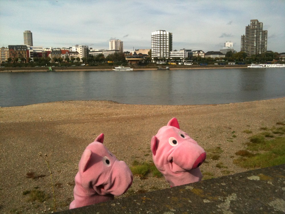 Unzufriedene Gesichter mit Rheinpanorama.