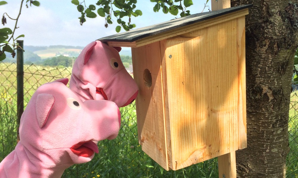 Die Schweine möchten wissen, ob hier schon jemand wohnt. 
