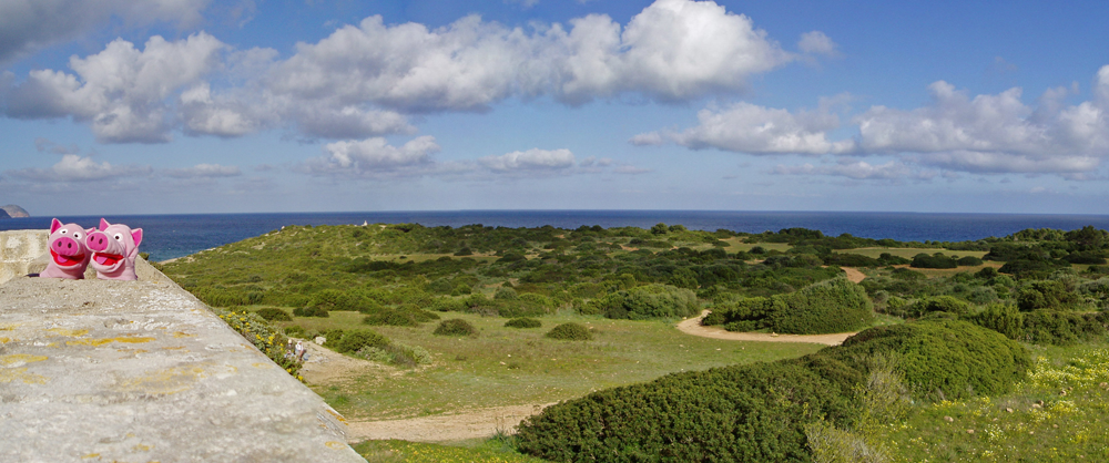 Eine letzte Wanderung zur Küste