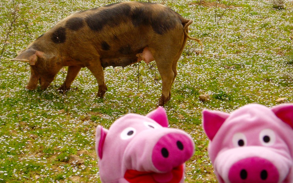 Direkt bei der ersten Wanderung wurden schon Verwandte gesehen.