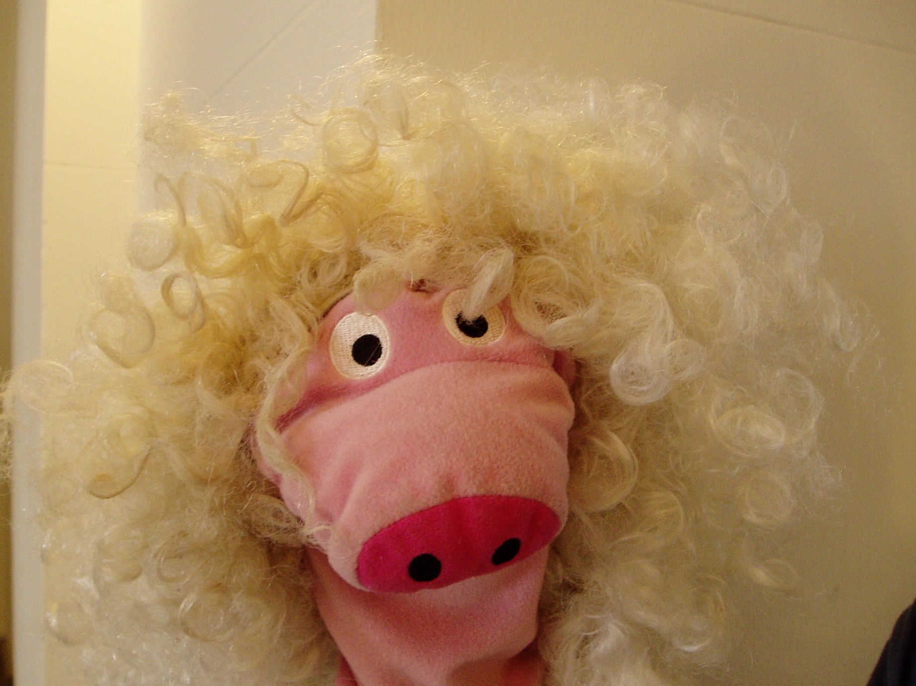 Graf Schwein im Kurfürstlichen Schloss. Und nach zwei Gläsern Wein ...