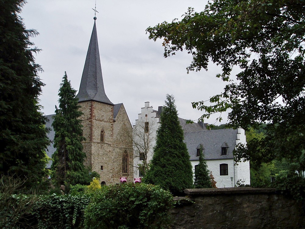 Da ist doch was im Busch! Die Schweine am Kloster Wenau, wo die Wanderung endete