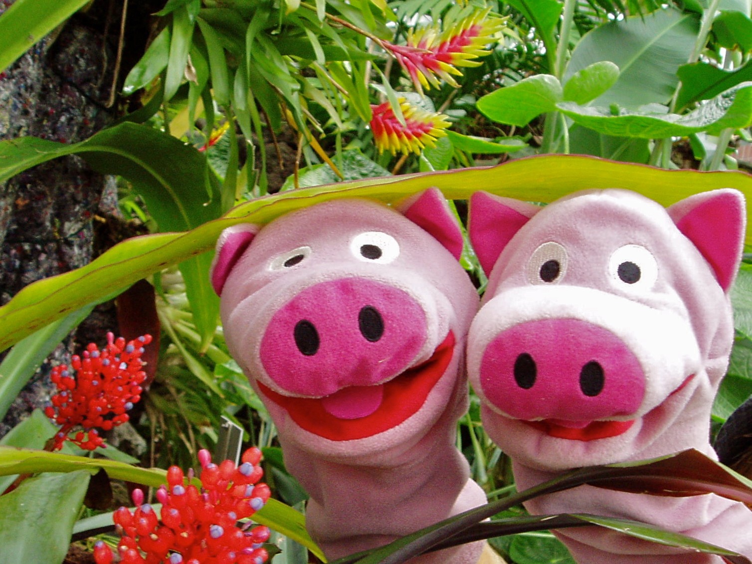 Tolle Blümchen gibt es hier, in rosa...