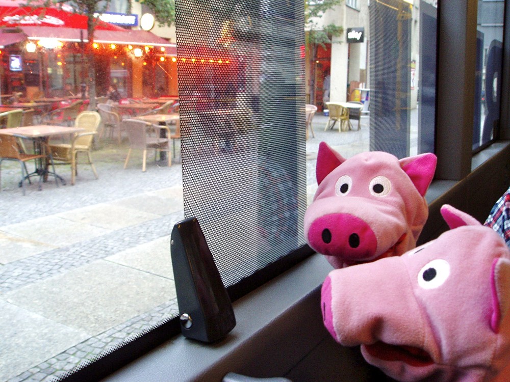 ... denn sie fahren in den Botanischen Garten zum Blümchen gucken.