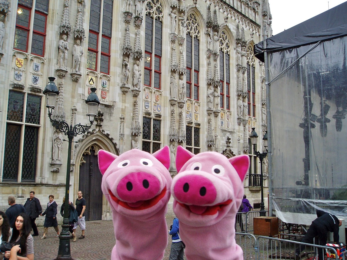 Hier möchten sich die Schweine gerne einen Stall einrichten.