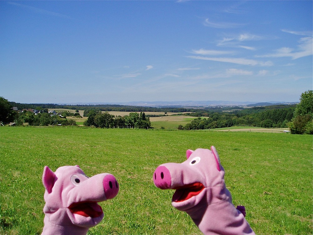 Zunächst Diskussion, durch welches Tal zur Mosel abgestiegen werden soll. 