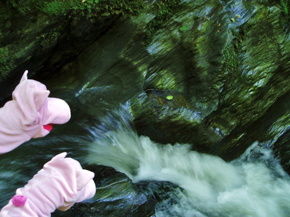 Der Ehrbach rauscht die Klamm hinab.