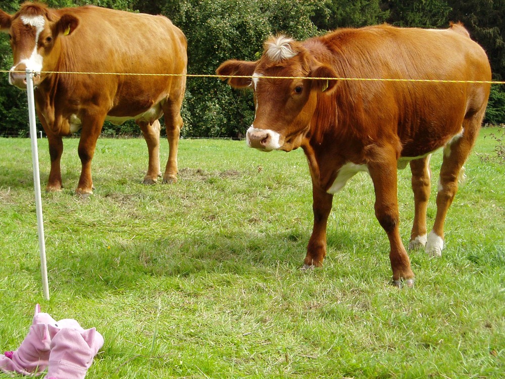 Oh, bleiben Sie ruhig liegen...