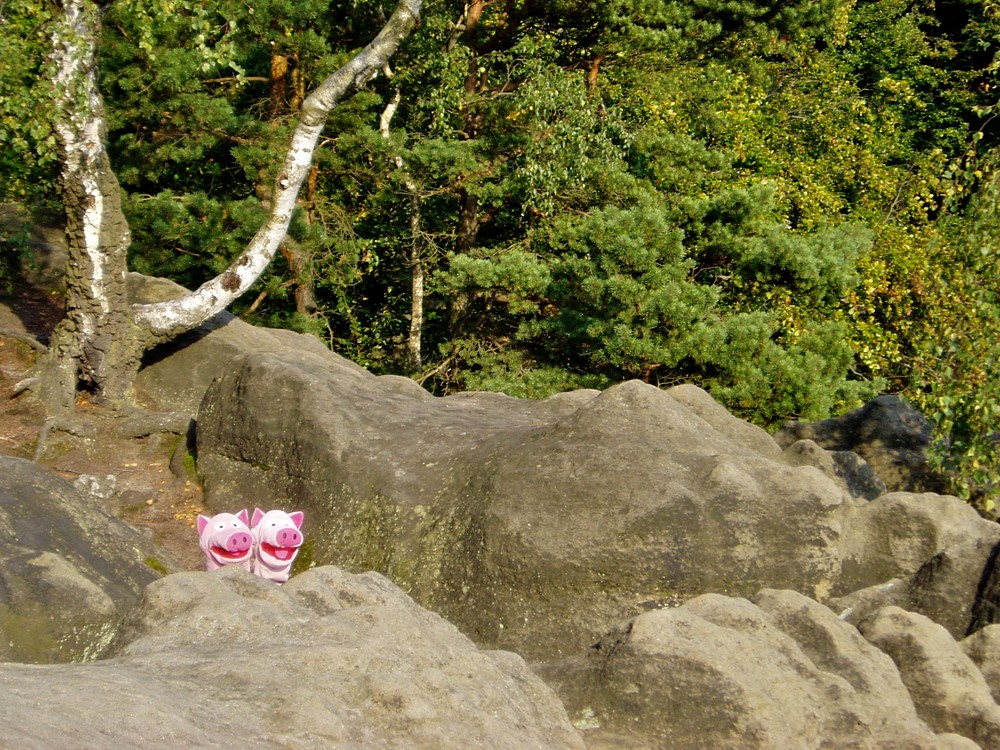 ... oder einem Sonnenbad belohnt.