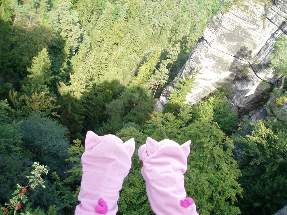 Tiefe Blicke in die Schluchten des Elbsandsteinngebirges.