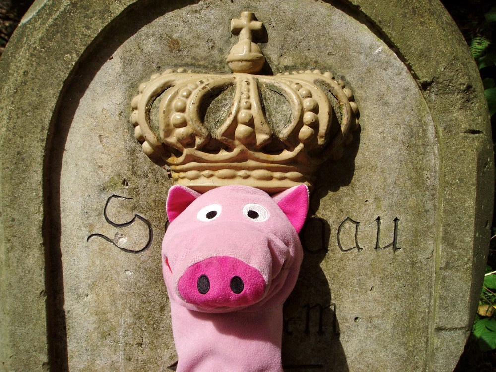 König Schwein!