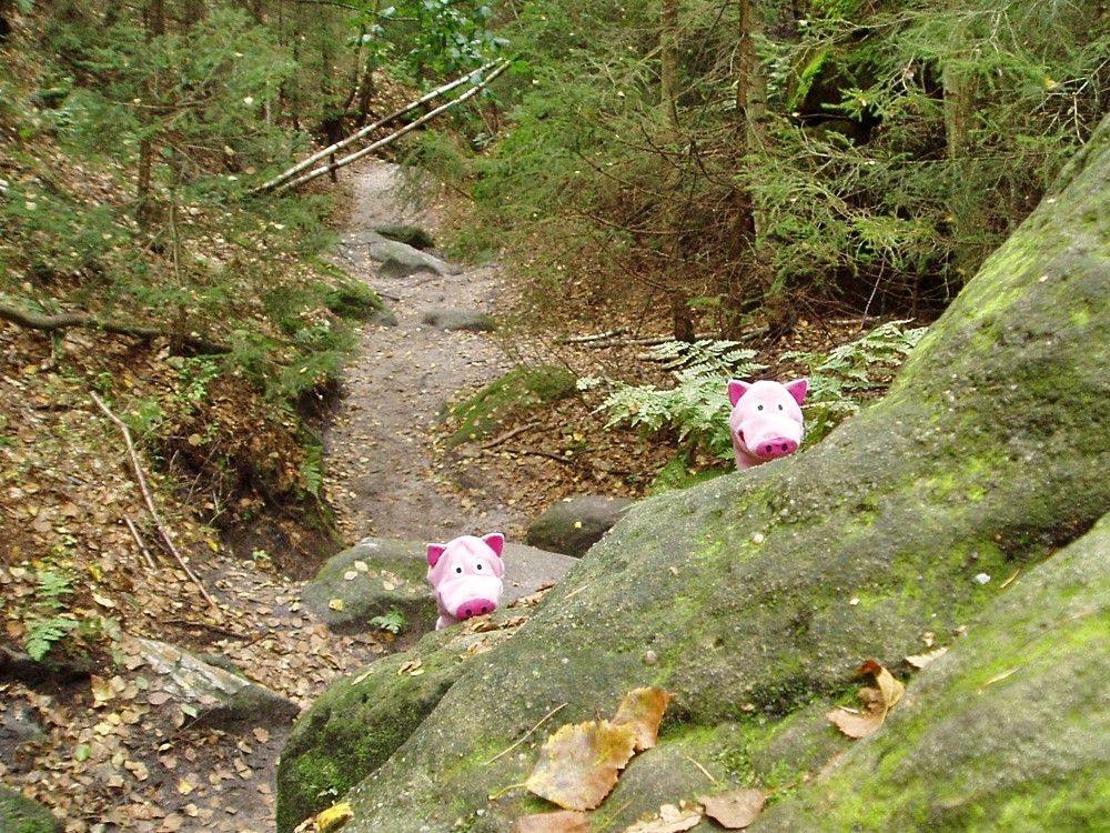 Der Aufstieg war teilweise etwas anstrengend...