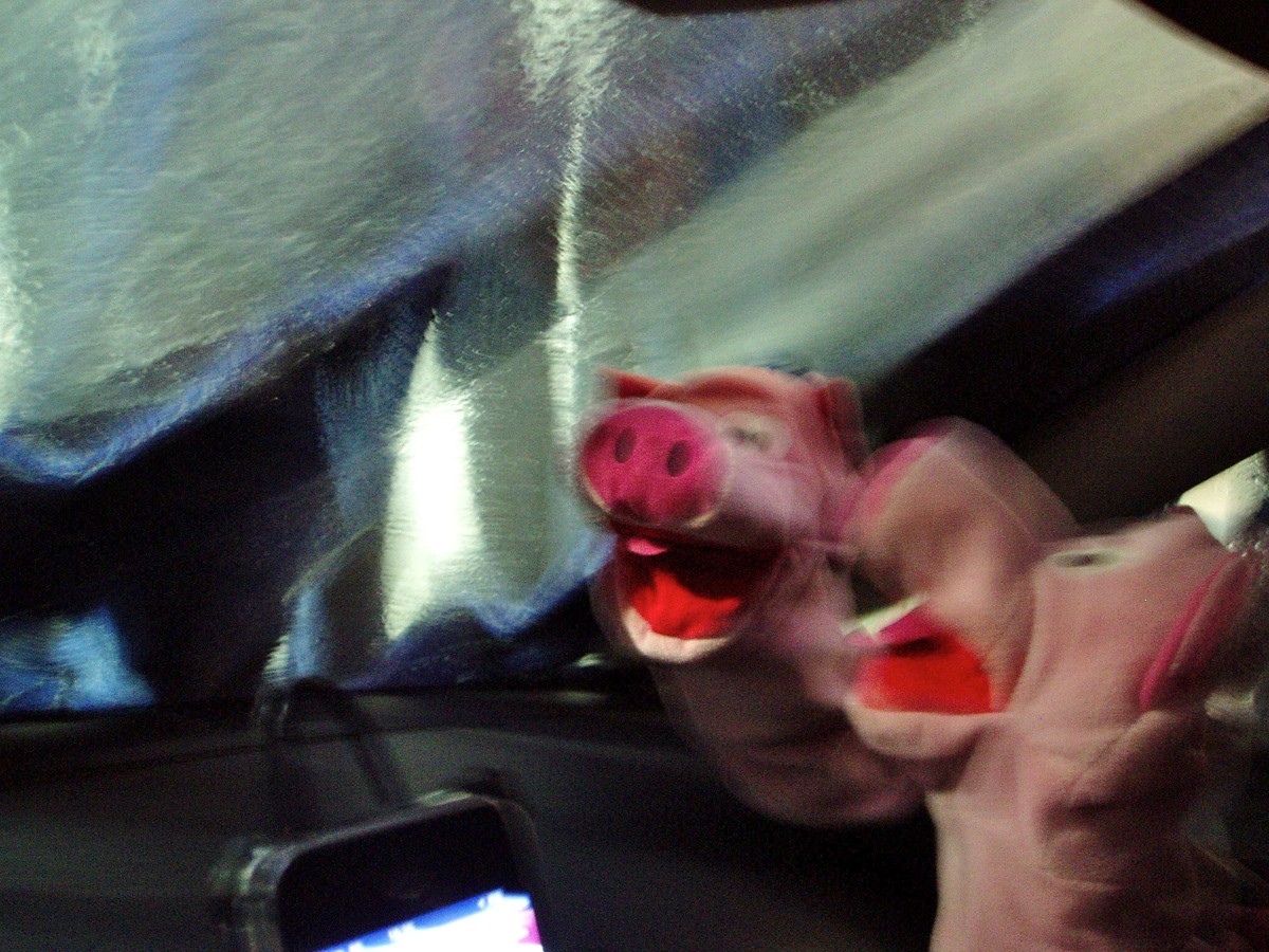 Vor der Weiterfahrt noch durch die Waschstraße!