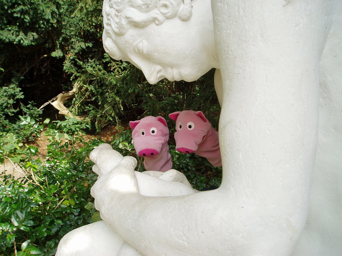 Oh, jemand ist in einen Dorn getreten. Die Schweine helfen beim Dornenziehen.