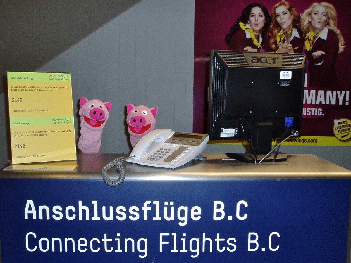 Die Wartezeit am Schalter: die Schweine geben Auskunft über Anschlussflüge.