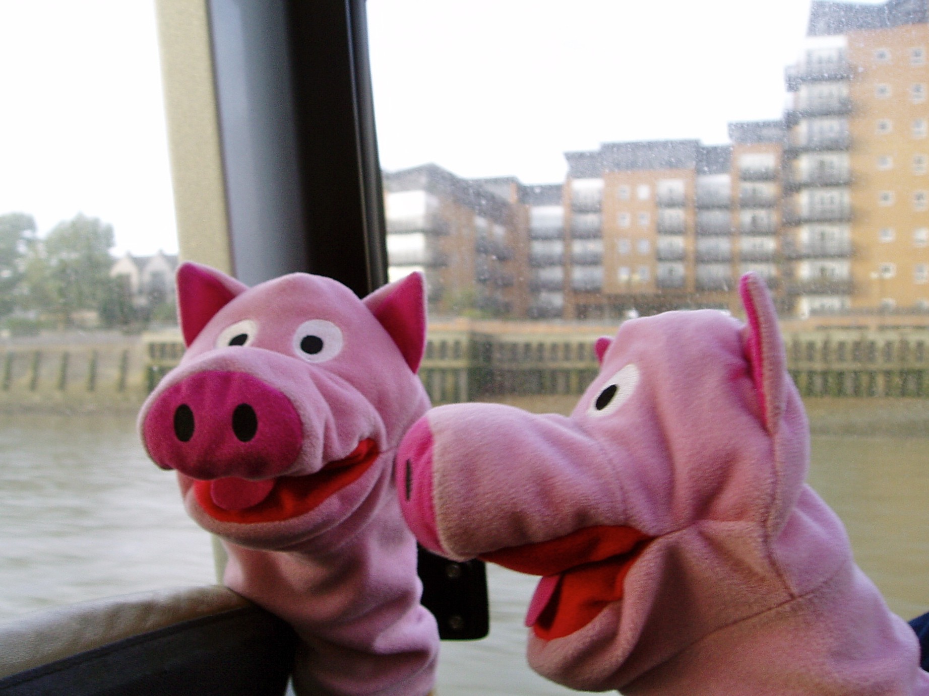 Mit dem Schiff geht's dann zurück in die Innenstadt.