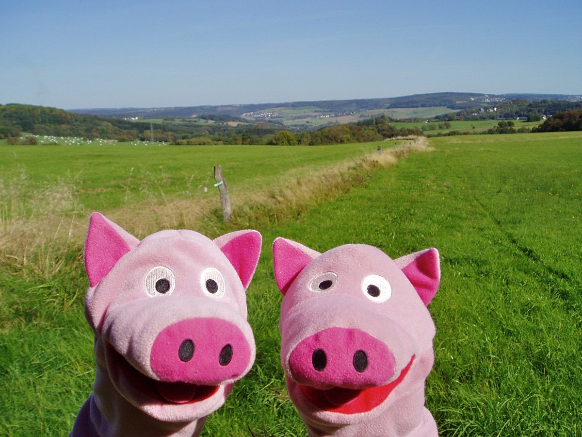 So schön ist's im Westerwald! Das Wetter spielt auch mit.