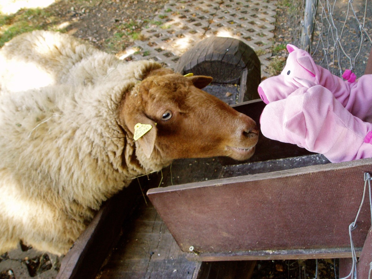 "Wenn Sie wüssten, was wir gerade gesehen haben. Ja. Ein Cafe hieß so." 