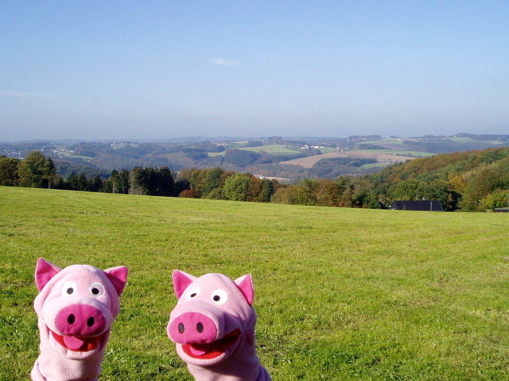 Endlich wird gewandert. Schöne Aussicht über Overath.