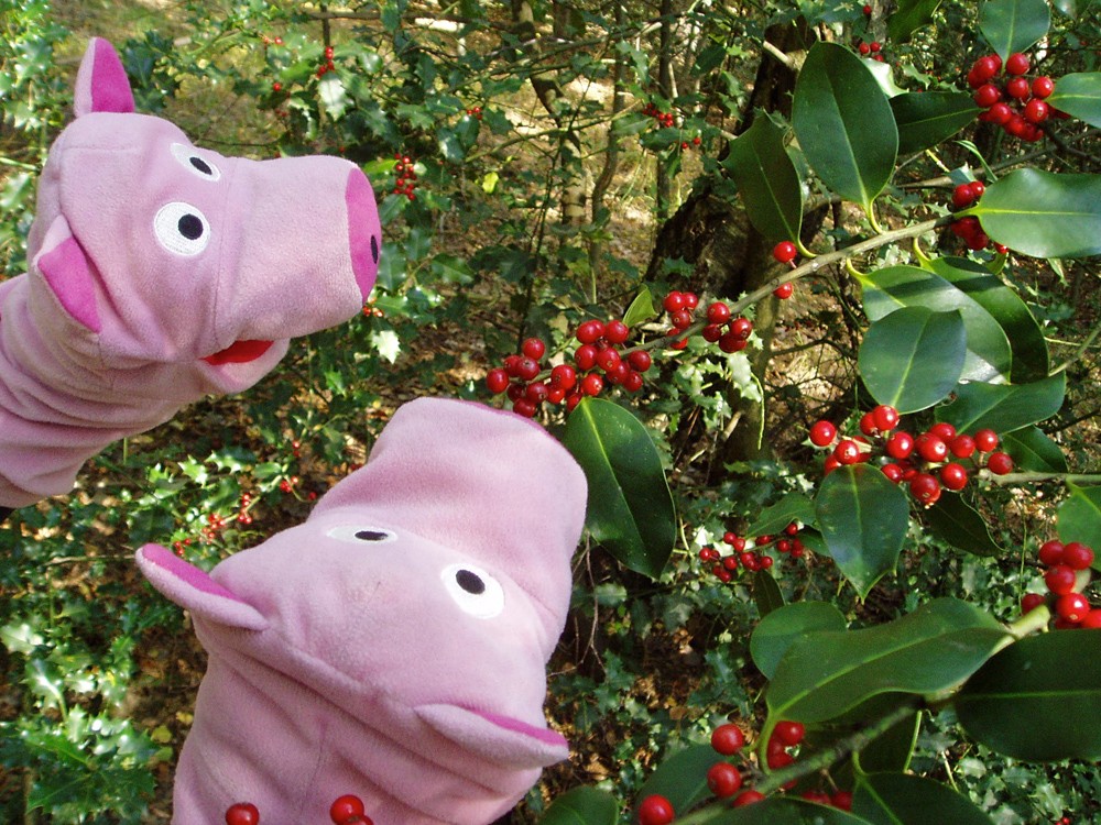 Aah, es gibt noch Beeren!