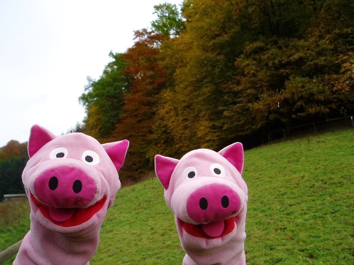 Herrliche Farben bei Gammersbach.