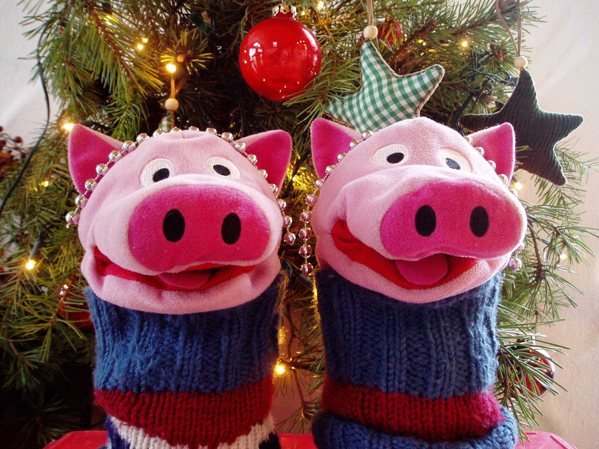 Ein festliches Foto unter dem Weihnachtsbaum für's Familienalbum